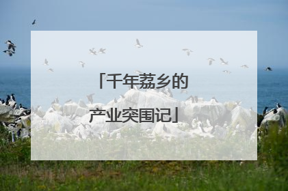 千年荔乡的产业突围记