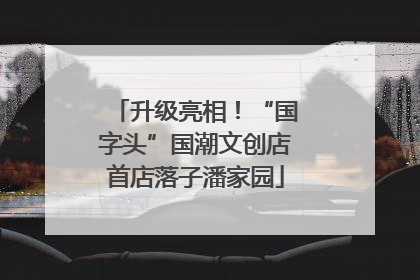 升级亮相！“国字头”国潮文创店首店落子潘家园