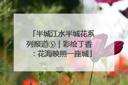 半城江水半城花系列报道⑤｜彩绘丁香：花海映照一座城