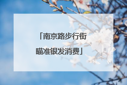 南京路步行街瞄准银发消费