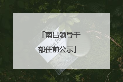 南昌领导干部任前公示