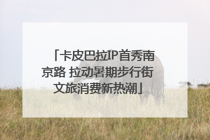 卡皮巴拉IP首秀南京路 拉动暑期步行街文旅消费新热潮