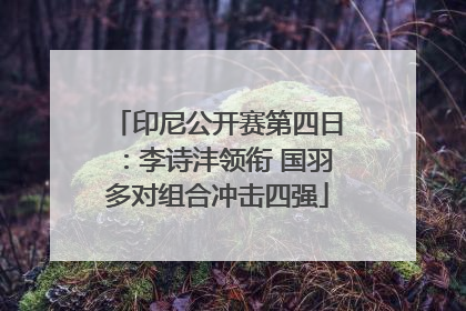 印尼公开赛第四日：李诗沣领衔 国羽多对组合冲击四强