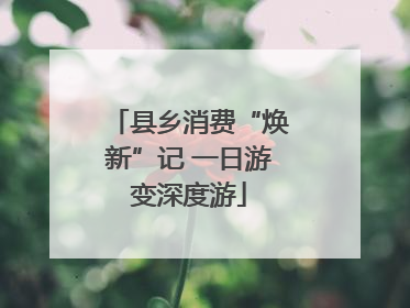 县乡消费“焕新”记 一日游变深度游