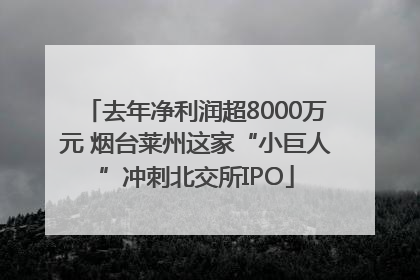 去年净利润超8000万元 烟台莱州这家“小巨人”冲刺北交所IPO