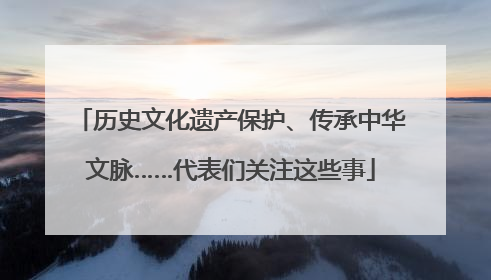 历史文化遗产保护、传承中华文脉……代表们关注这些事