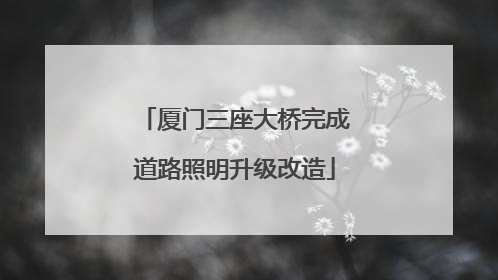 厦门三座大桥完成道路照明升级改造