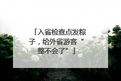入省检查点发粽子，给外省游客“整不会了”