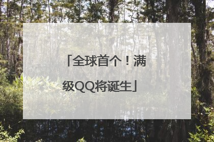 全球首个！满级QQ将诞生