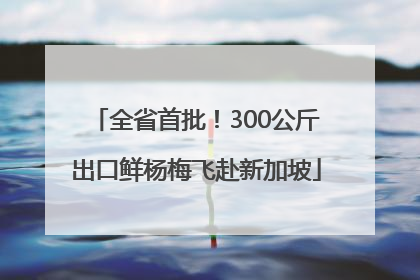 全省首批！300公斤出口鲜杨梅飞赴新加坡