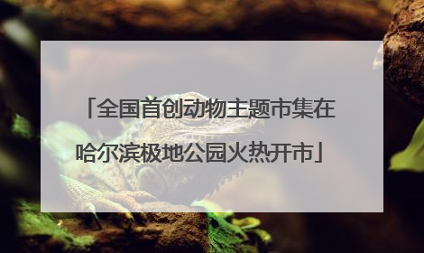 全国首创动物主题市集在哈尔滨极地公园火热开市