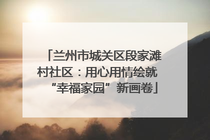 兰州市城关区段家滩村社区：用心用情绘就“幸福家园”新画卷