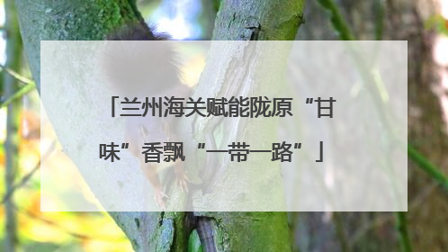 兰州海关赋能陇原“甘味”香飘“一带一路”