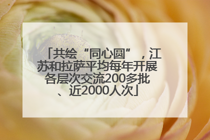 共绘“同心圆”，江苏和拉萨平均每年开展各层次交流200多批、近2000人次