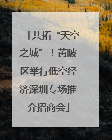 共拓“天空之城”！黄陂区举行低空经济深圳专场推介招商会