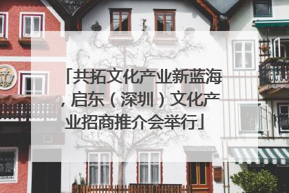 共拓文化产业新蓝海，启东（深圳）文化产业招商推介会举行