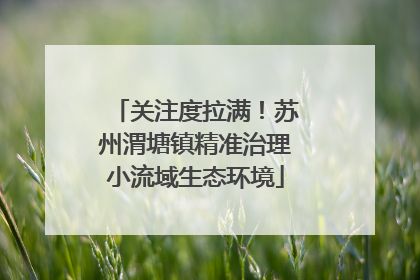 关注度拉满！苏州渭塘镇精准治理小流域生态环境