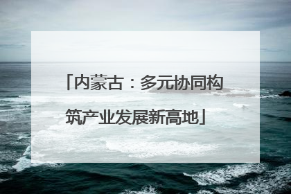 内蒙古：多元协同构筑产业发展新高地