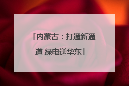 内蒙古：打通新通道 绿电送华东