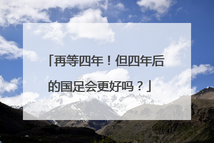 再等四年！但四年后的国足会更好吗？