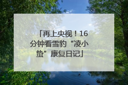再上央视！16分钟看雪豹“凌小蛰”康复日记