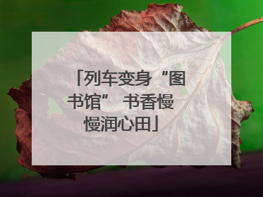 列车变身“图书馆” 书香慢慢润心田