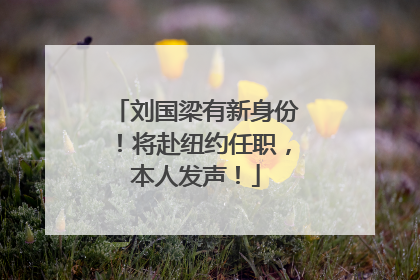 刘国梁有新身份！将赴纽约任职，本人发声！