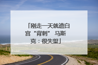 刚走一天就遭白宫“背刺” 马斯克：很失望