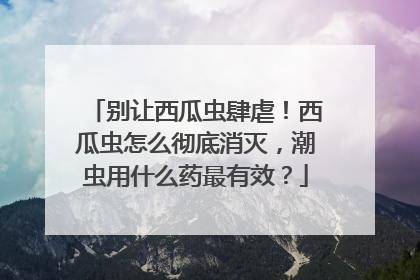 别让西瓜虫肆虐！西瓜虫怎么彻底消灭，潮虫用什么药最有效？
