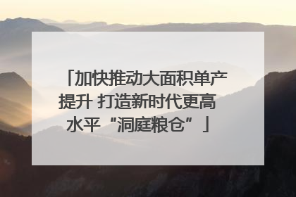 加快推动大面积单产提升 打造新时代更高水平“洞庭粮仓”