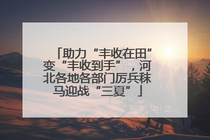 助力“丰收在田”变“丰收到手”，河北各地各部门厉兵秣马迎战“三夏”