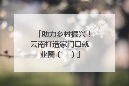 助力乡村振兴！云南打造家门口就业圈（一）