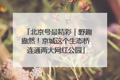 北京号最精彩｜野趣盎然！京城这个生态桥连通两大网红公园