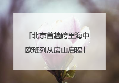 北京首趟跨里海中欧班列从房山启程