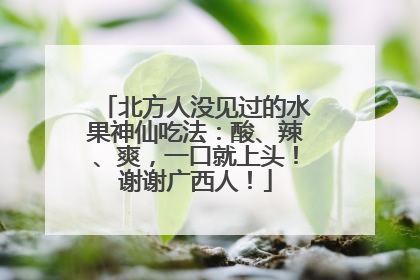 北方人没见过的水果神仙吃法：酸、辣、爽，一口就上头！谢谢广西人！