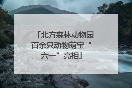 北方森林动物园百余只动物萌宝“六一”亮相