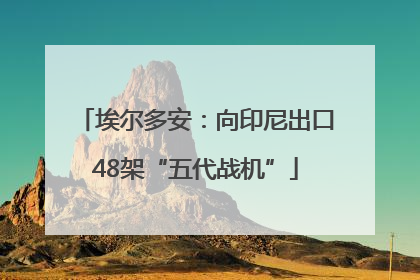 埃尔多安：向印尼出口48架“五代战机”