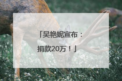 吴艳妮宣布：捐款20万！