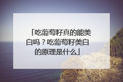 吃葡萄籽真的能美白吗？吃葡萄籽美白的原理是什么