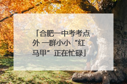 合肥一中考考点外 一群小小“红马甲”正在忙碌