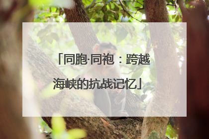 同胞·同袍：跨越海峡的抗战记忆