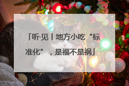 听·见丨地方小吃“标准化”，是福不是祸