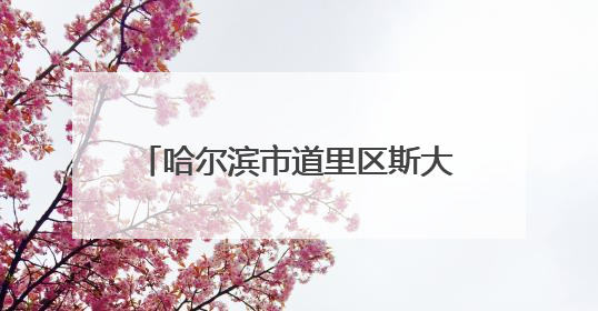哈尔滨市道里区斯大林街道党建引领网格治理提升管理效能
