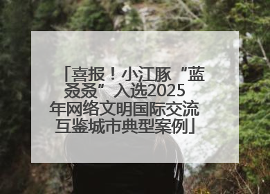 喜报！小江豚“蓝叒叒”入选2025年网络文明国际交流互鉴城市典型案例