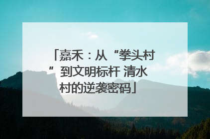 嘉禾：从“拳头村”到文明标杆 清水村的逆袭密码