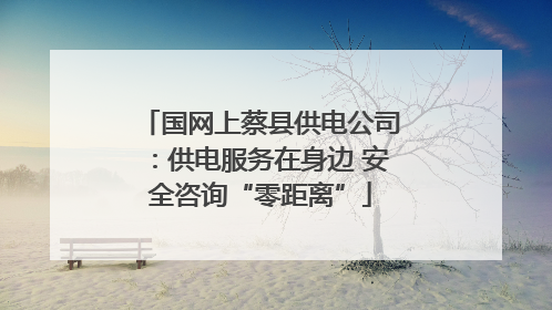 国网上蔡县供电公司：供电服务在身边 安全咨询“零距离”