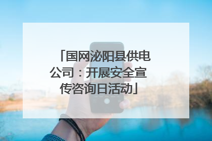国网泌阳县供电公司：开展安全宣传咨询日活动