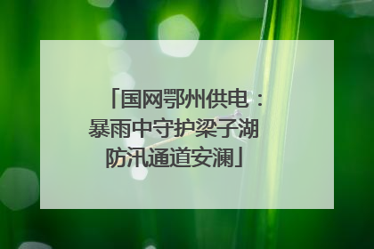 国网鄂州供电：暴雨中守护梁子湖防汛通道安澜