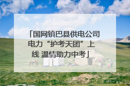 国网镇巴县供电公司 电力“护考天团”上线 温情助力中考