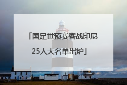 国足世预赛客战印尼25人大名单出炉